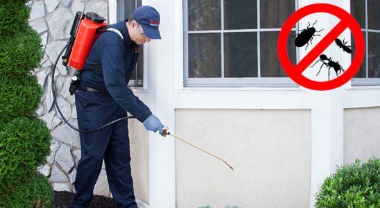 Malazgirt Kene İlaçlama böcek ilaçlama ve haşere kontrolü — ilaclama-tr.com